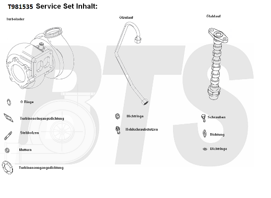 Compresor,sistem de supraalimentare T981535 BTS Turbo